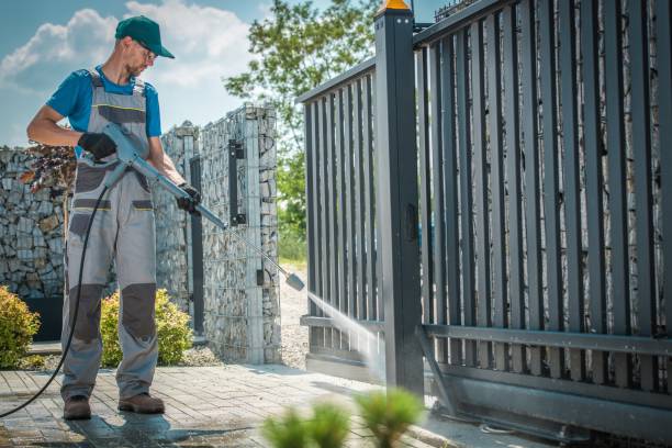 Best Fence Cleaning  in Woodhaven, MI