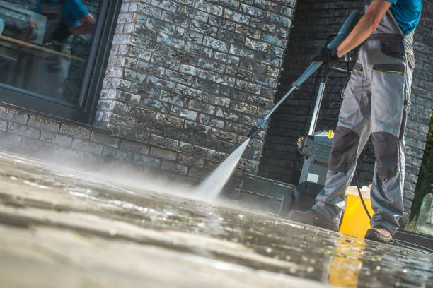 Best Patio and Deck Pressure Washing  in Woodhaven, MI