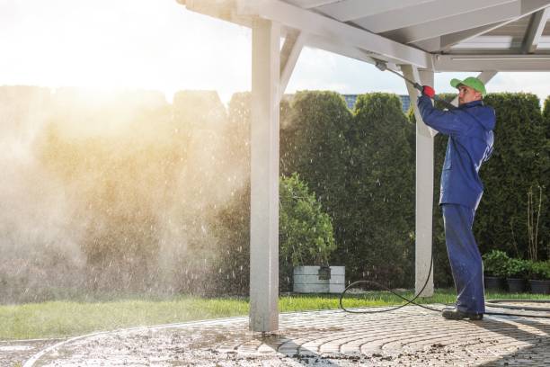 Best Rust Removal  in Woodhaven, MI